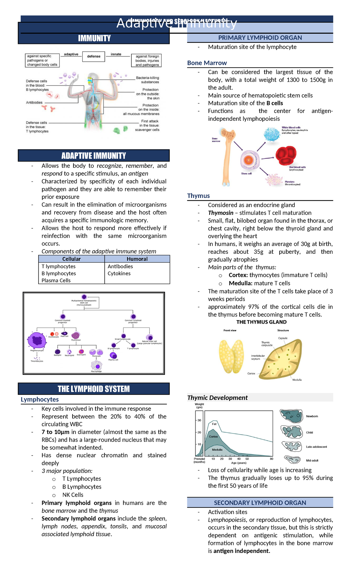 Immunity: Overview of Adaptive and Innate Immune Systems Analysis - Studocu