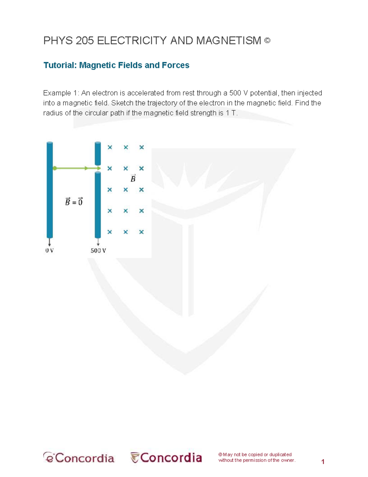 PHYS 205 Electricity and Magnetism: Magnetic Fields Tutorial - Studocu