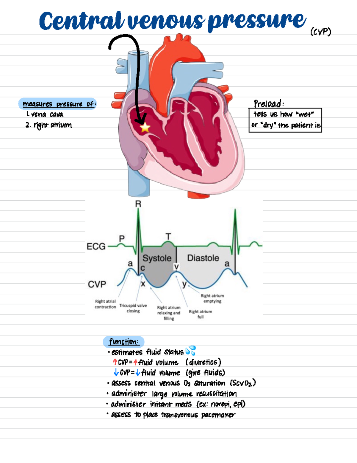 Central Venous Pressure: Understanding Clinical Implications - Studocu