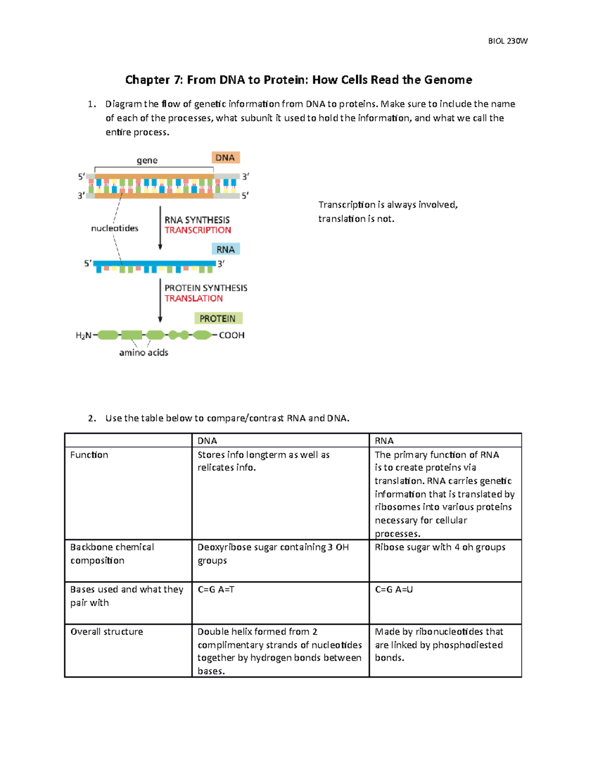 CH7 Bio 230 - q and a - Chapter 7: From DNA to Protein: How Cells Read ...