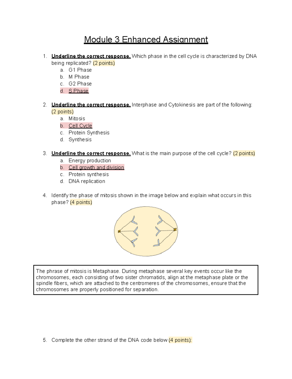 Copy of Module 3 Enhanced Assignment - Module 3 Enhanced Assignment 1 ...