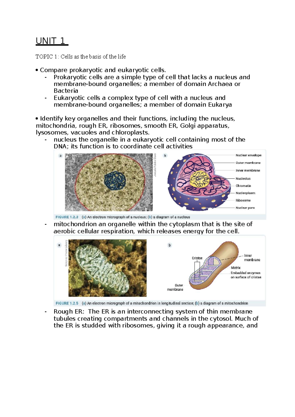 Biology 101: Unit 1 - Cell Structure & Function Summaries for Revision ...