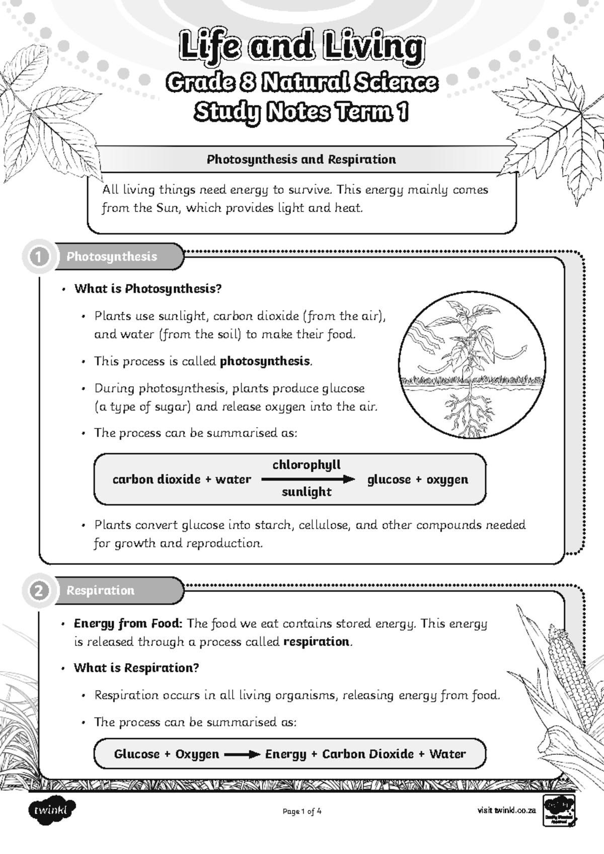 Grade 8 Natural Science Term 1 Study Notes: Life and Living BW - Studocu