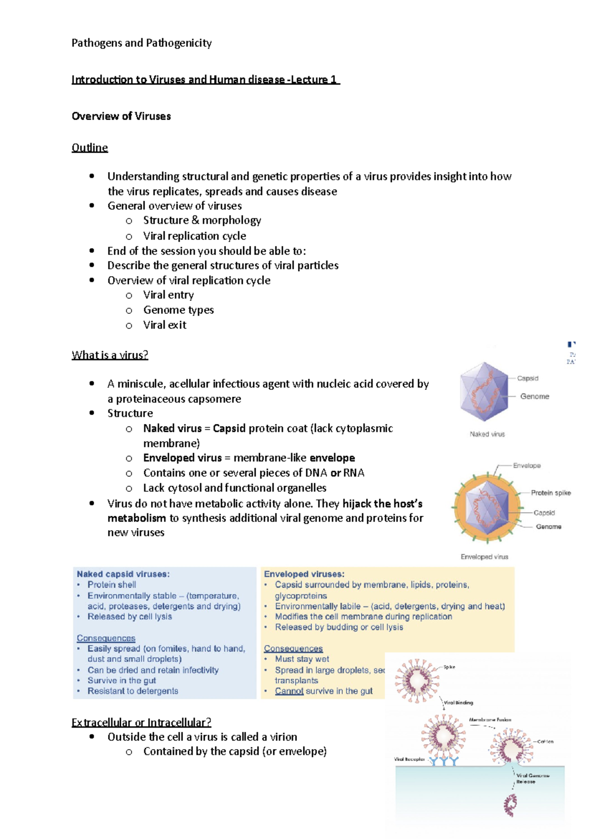 Pathogens & Pathogenicity: Viruses & HIV Lecture Notes (BIO 101) - Studocu