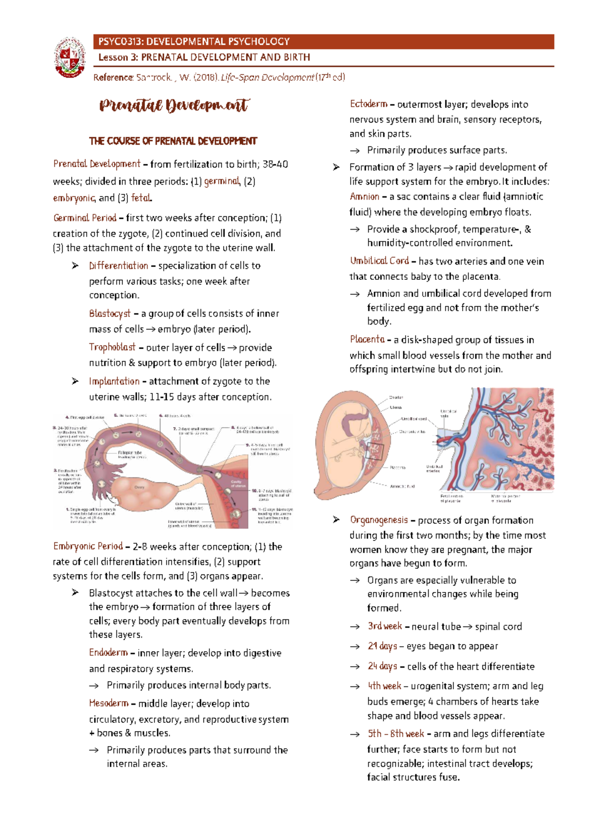 Week 3 - Prenatal Development & Birth Overview (Course Code: PD101 ...