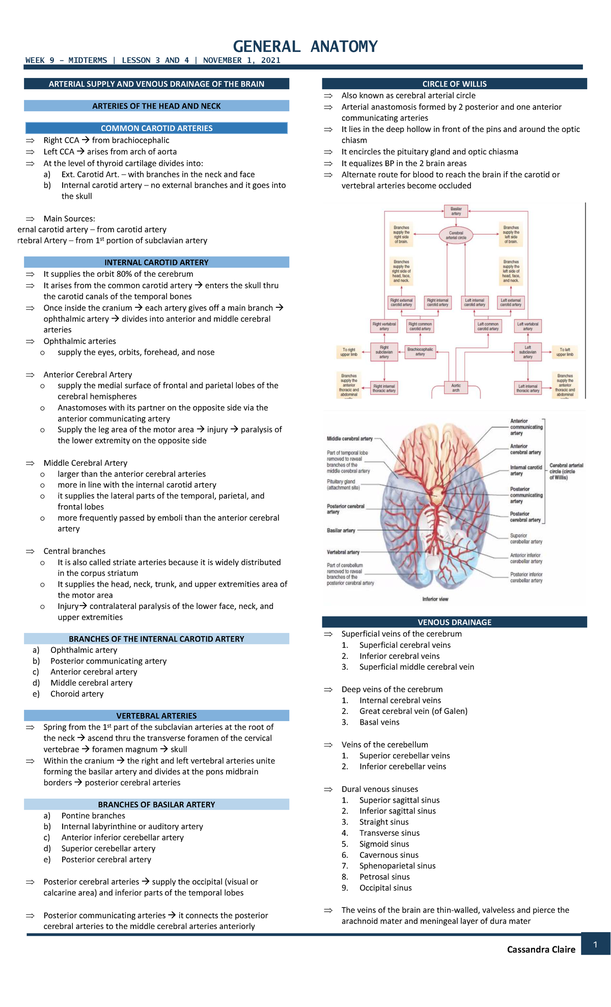 GENERAL ANATOMY WEEK 9 MIDTERMS: ARTERIAL SUPPLY & VENOUS DRAINAGE ...