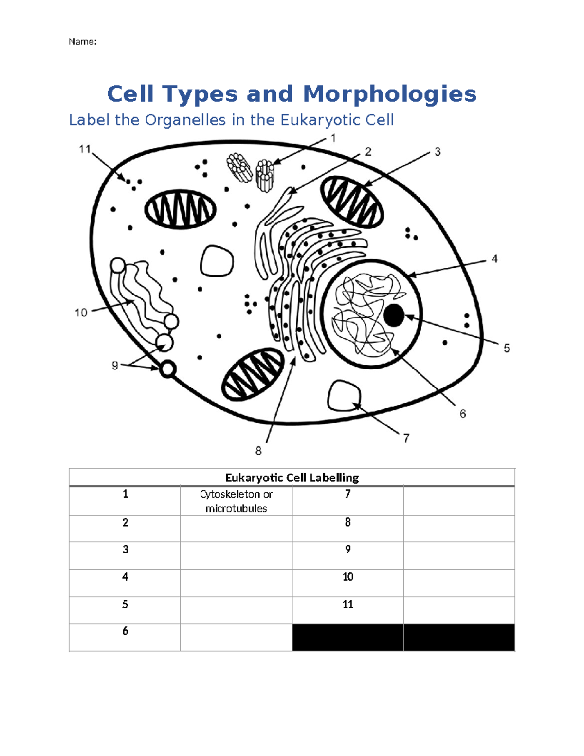 Week 2 Assignment: Eukaryotic & Prokaryotic Cell Structures - Studocu