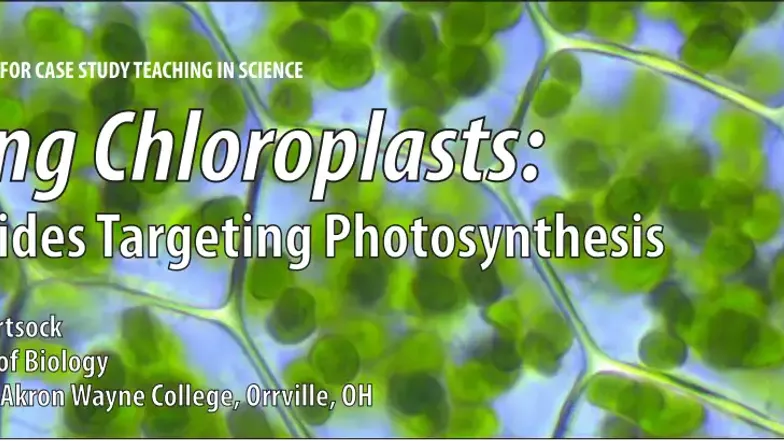 Case Study: Killing Chloroplasts & Herbicides Effect on Photosynthesis ...