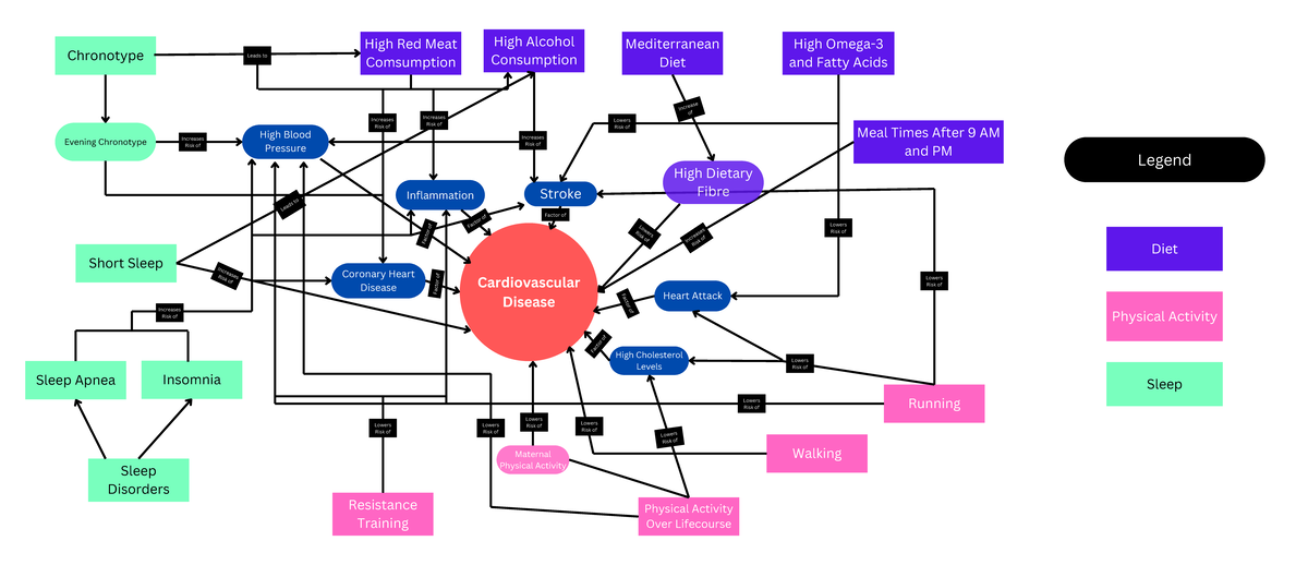 Integrative Thinking Assignment: Cardiovascular Disease Concepts - Studocu