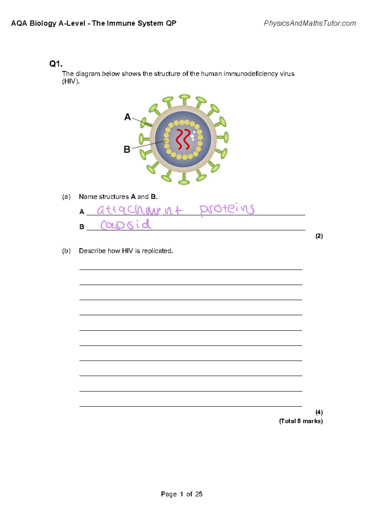 2.4 The Immune System - QP Revision Notes for Exam Preparation - Studocu