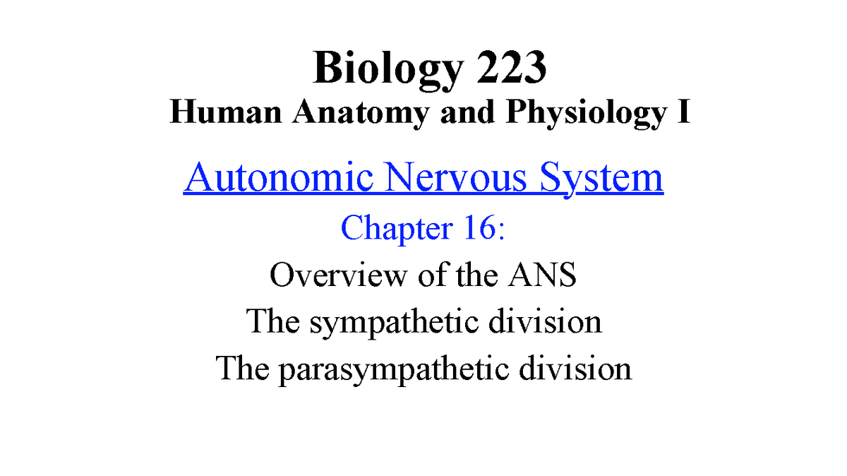 Biology 223: Chapter 16 - Autonomic Nervous System Overview - Studocu