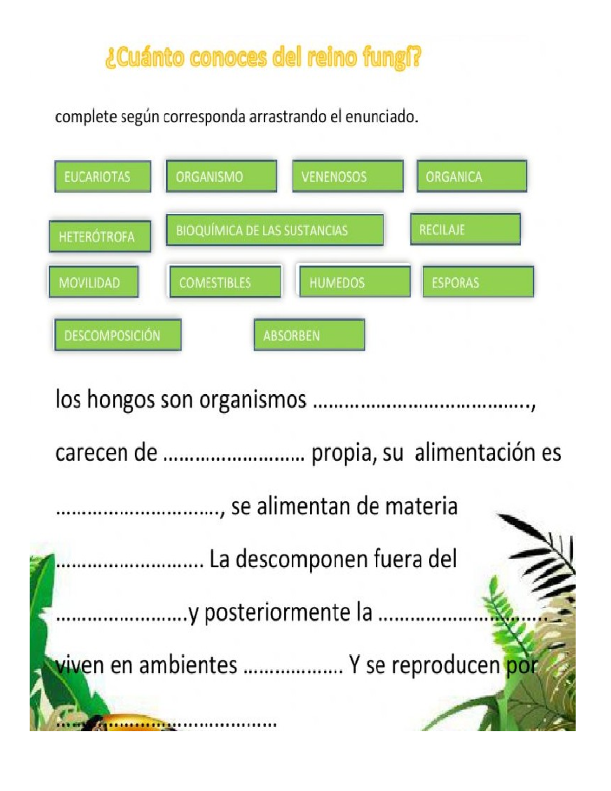 Reino Monera: Clasificación y Aplicaciones de las Bacterias - Studocu