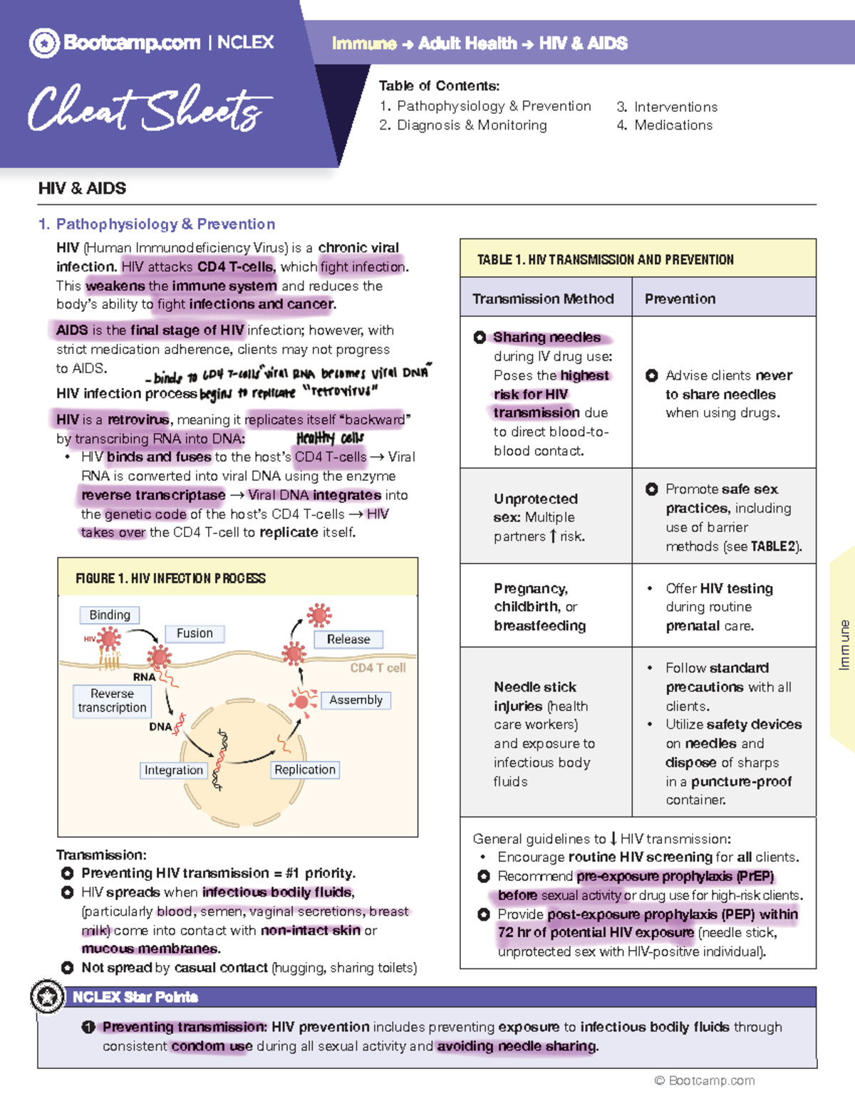 HIV Overview: Pathophysiology, Prevention, Diagnosis, and Treatment ...