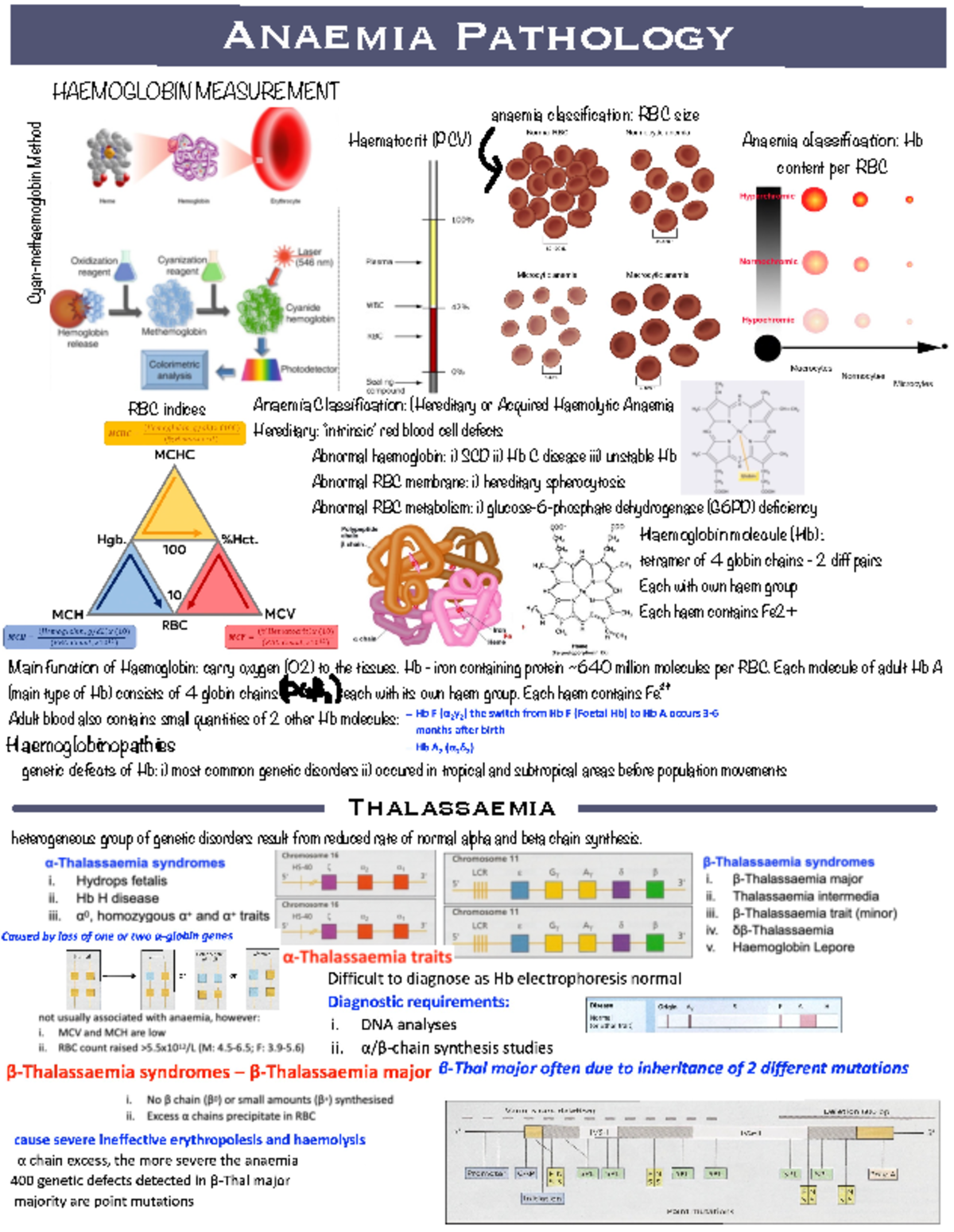 Anaemia Pathology: Comprehensive Overview of Haematological Conditions ...