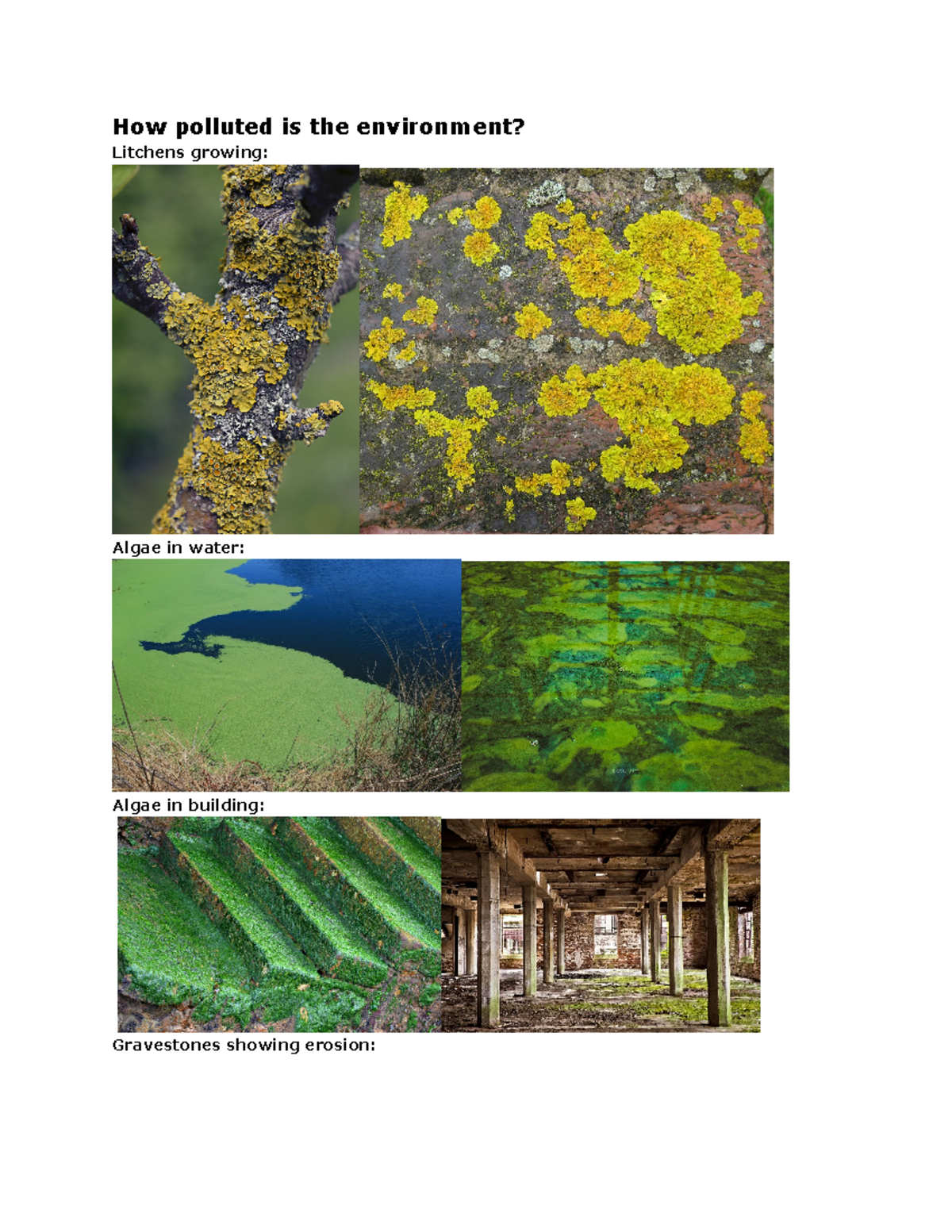 Environmental Pollution Analysis: Insights and Solutions - Studocu