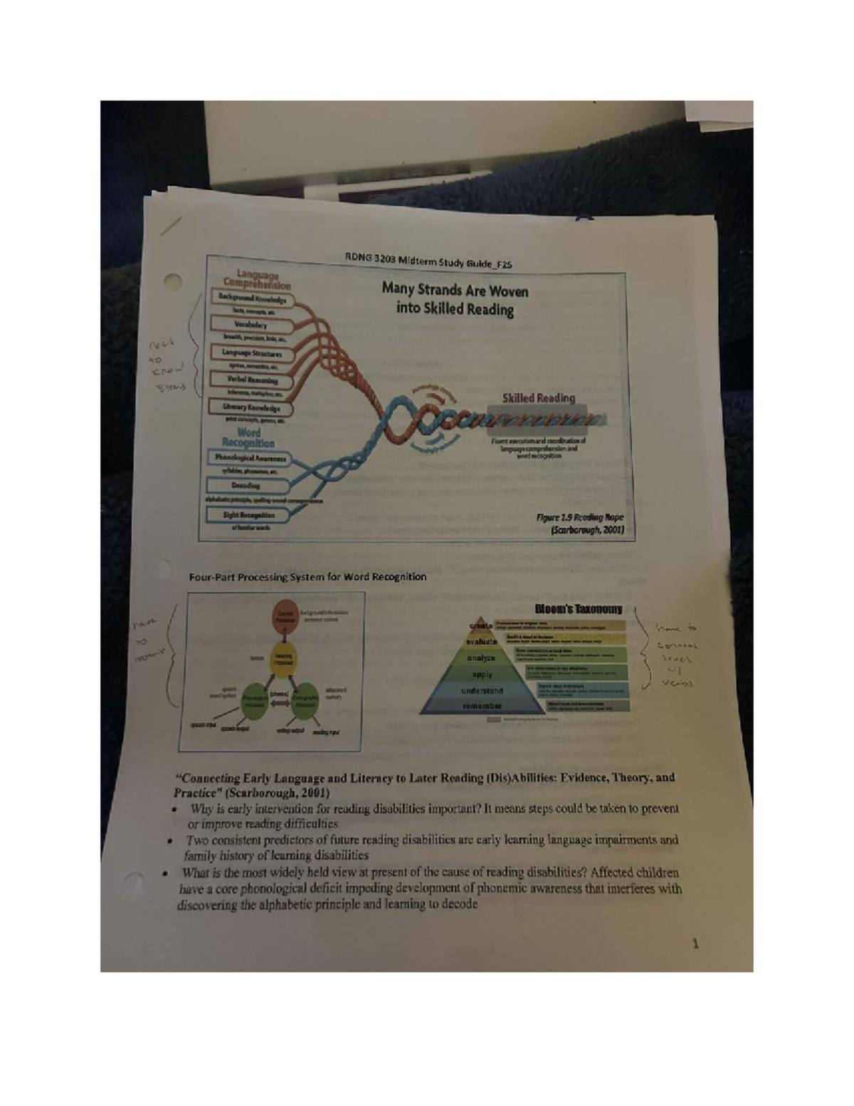 RDNG 3203 Midterm Study Guide_F25: Language Comprehension Essentials ...