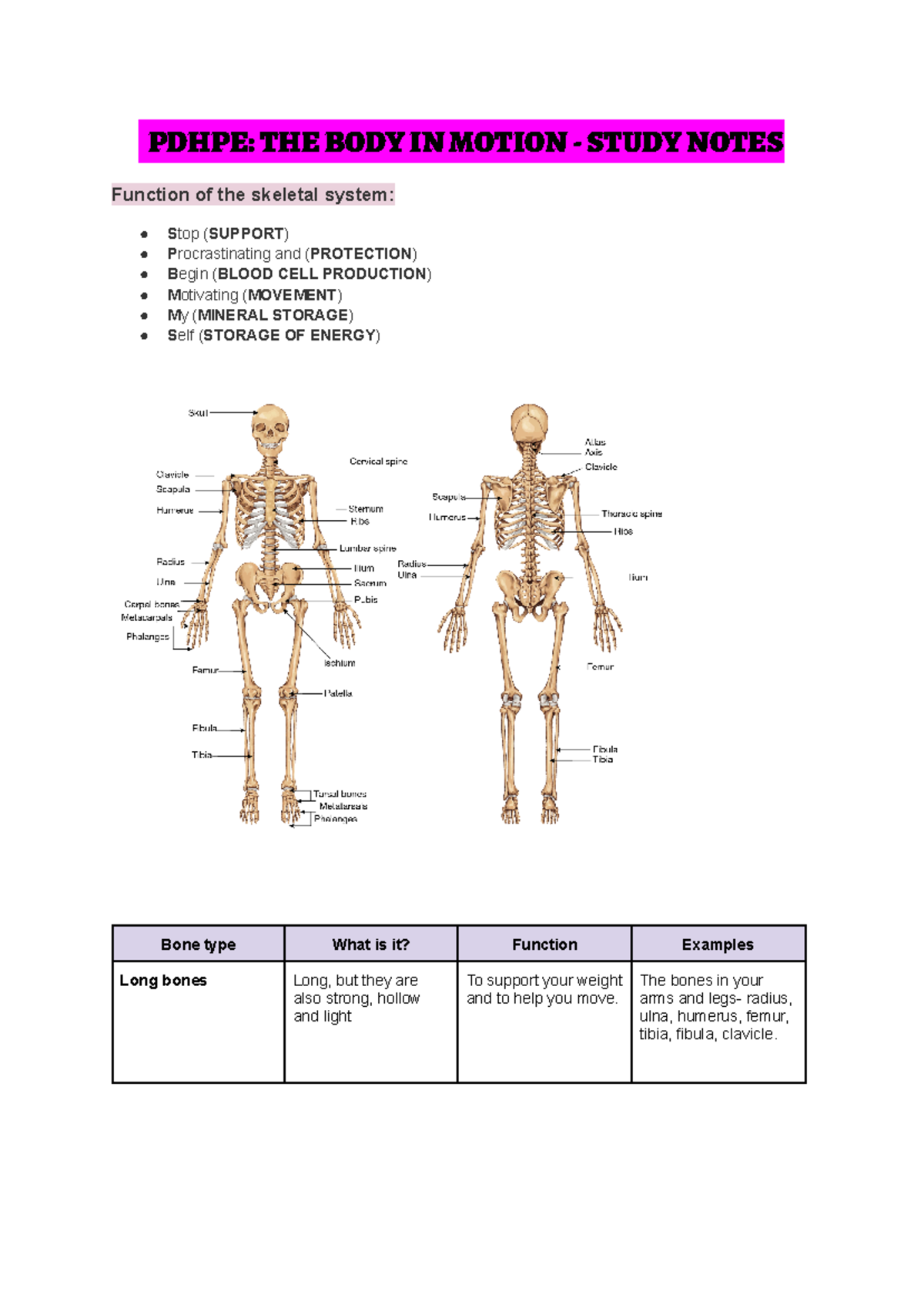 THE BODY IN Motion - CORE 2 - PDHPE: THE BODY IN MOTION - STUDY NOTES ...
