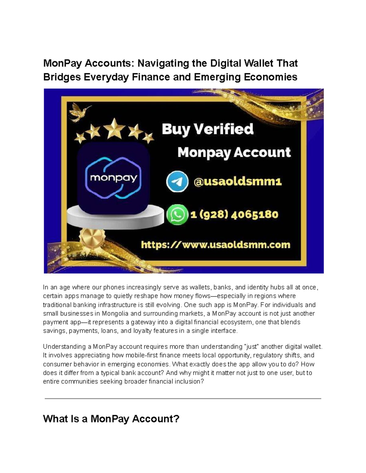 MonPay Accounts: A Guide to Digital Wallets in Emerging Economies - Studocu