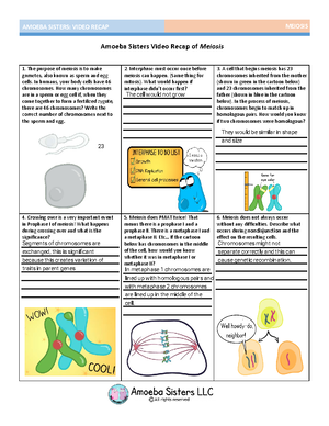 [Solved] What was the base pairing illuded to in Chargaffs work and ...