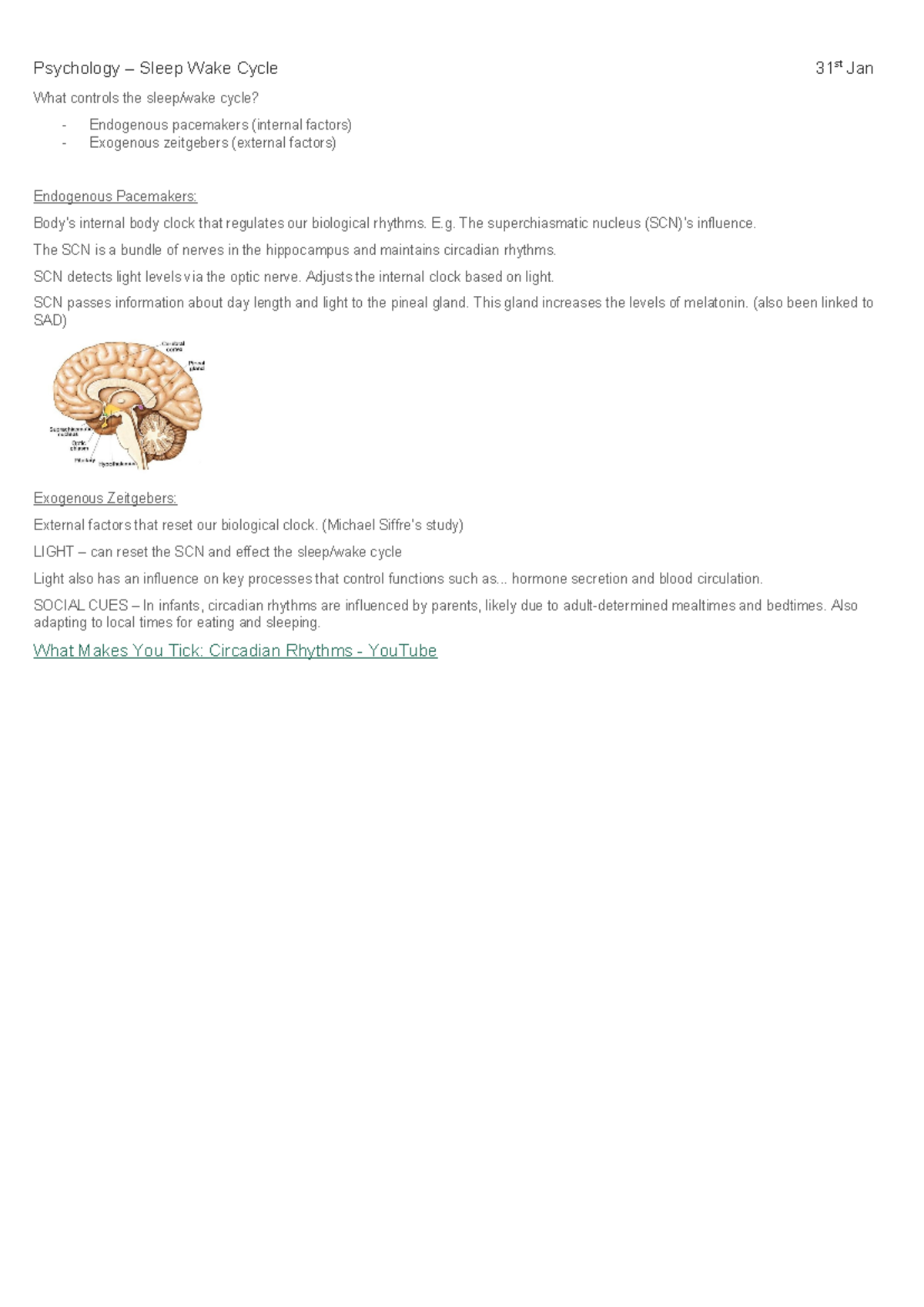 Sleep/Wake cycle - Psychology – Sleep Wake Cycle 31 st Jan What ...