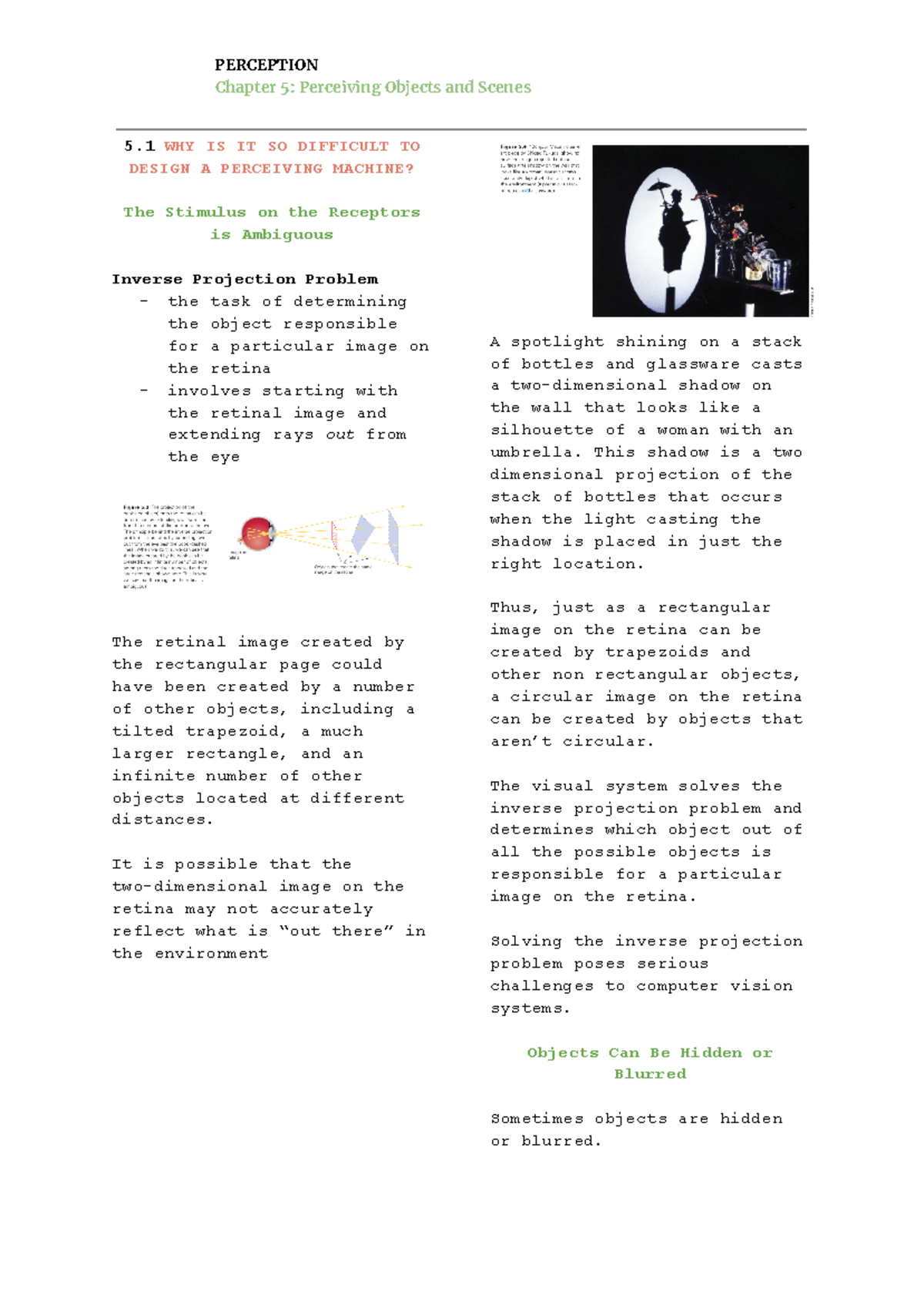 Perception Chapter 5 - Notes - Chapter 5: Perceiving Objects and Scenes ...