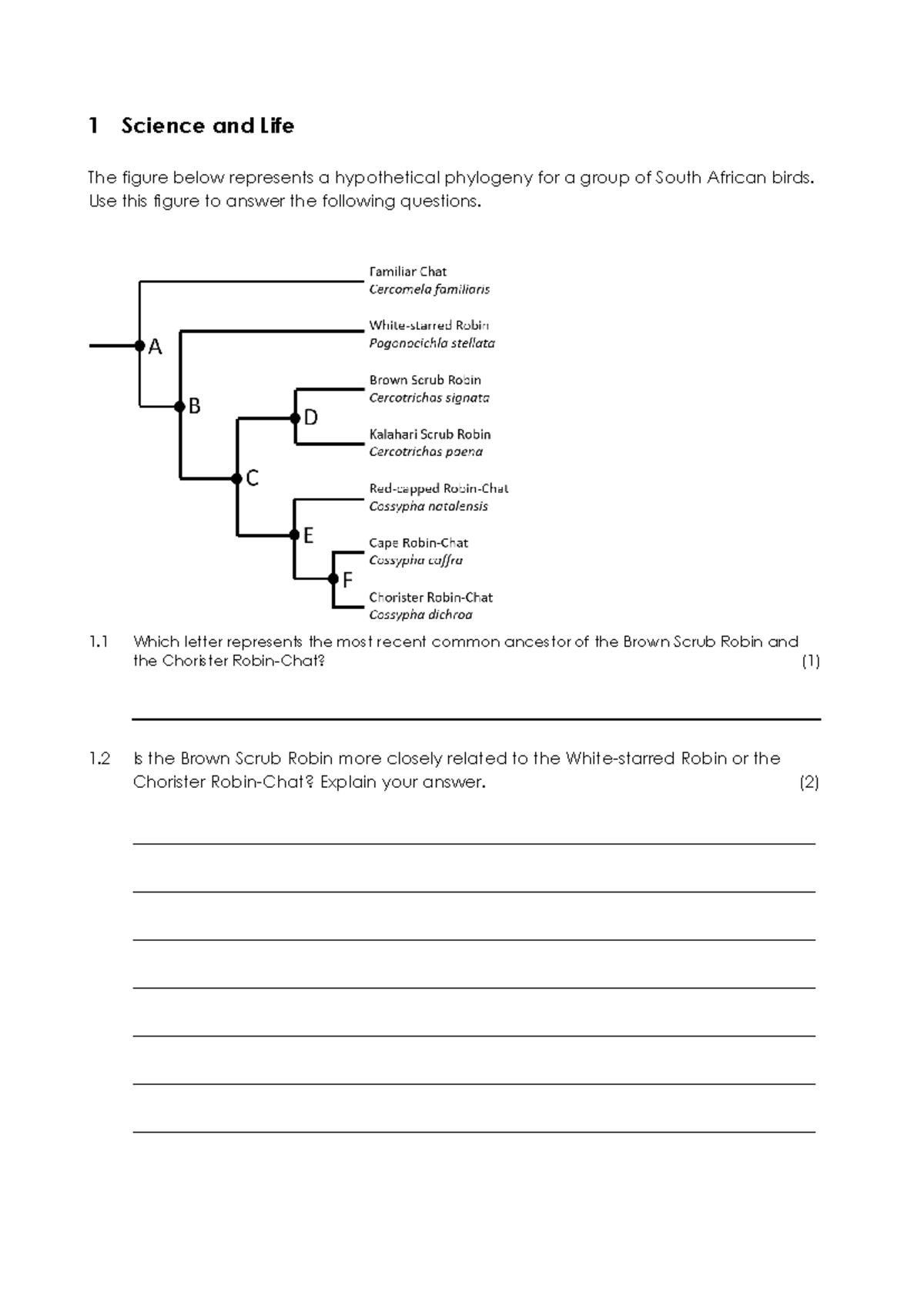 Chemistry 110: Comprehensive Study Notes on Biology and Genetics - Studocu