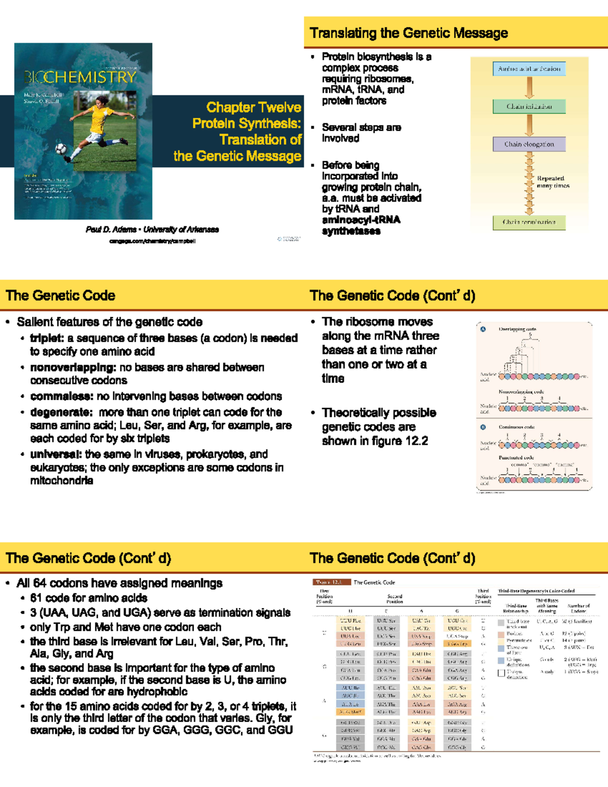 Protein Synthesis and Translation of the Genetic Message - Translating ...