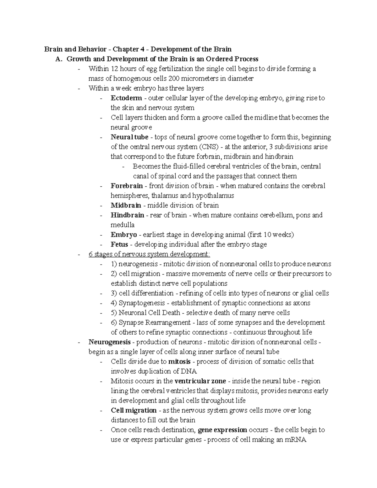 Brain and Behavior - Ch. 4 - Brain Development and Aging - Studocu