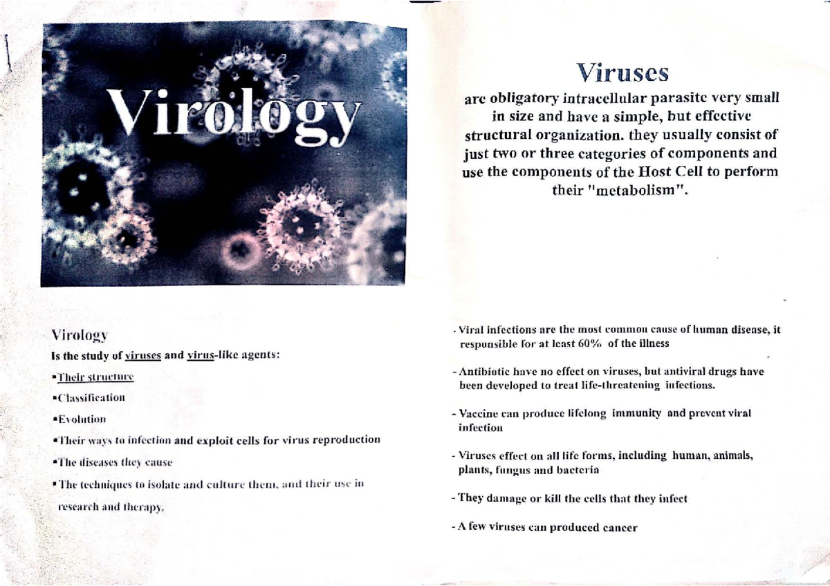 Virology Study Notes: Understanding Viruses and Their Impact - Studocu