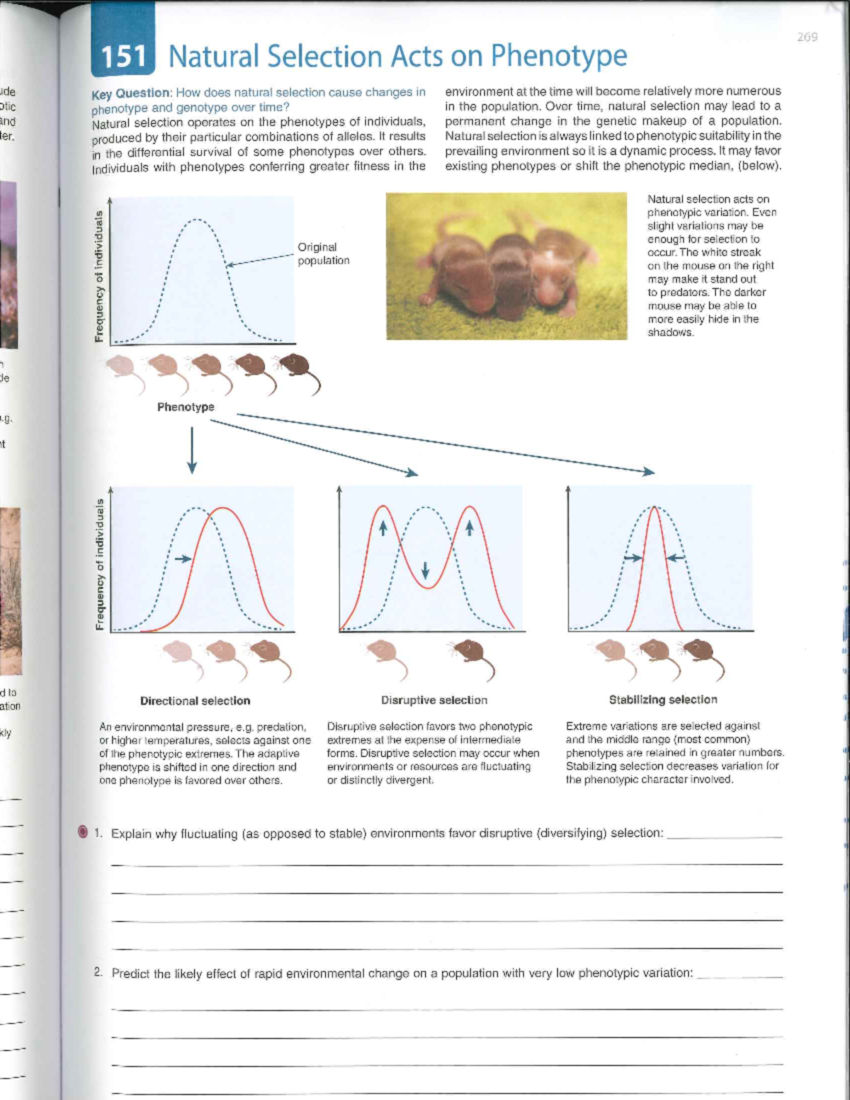 Biozone: Natural Selection, Genetic Drift, and Population Bottlenecks ...