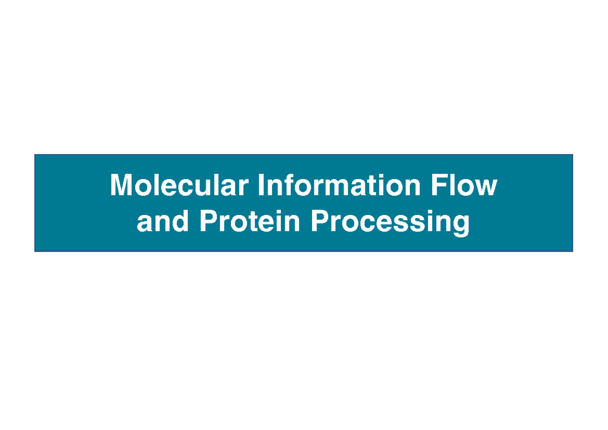 Molecular Information Flow & Protein Processing - Week 2 Study Notes ...