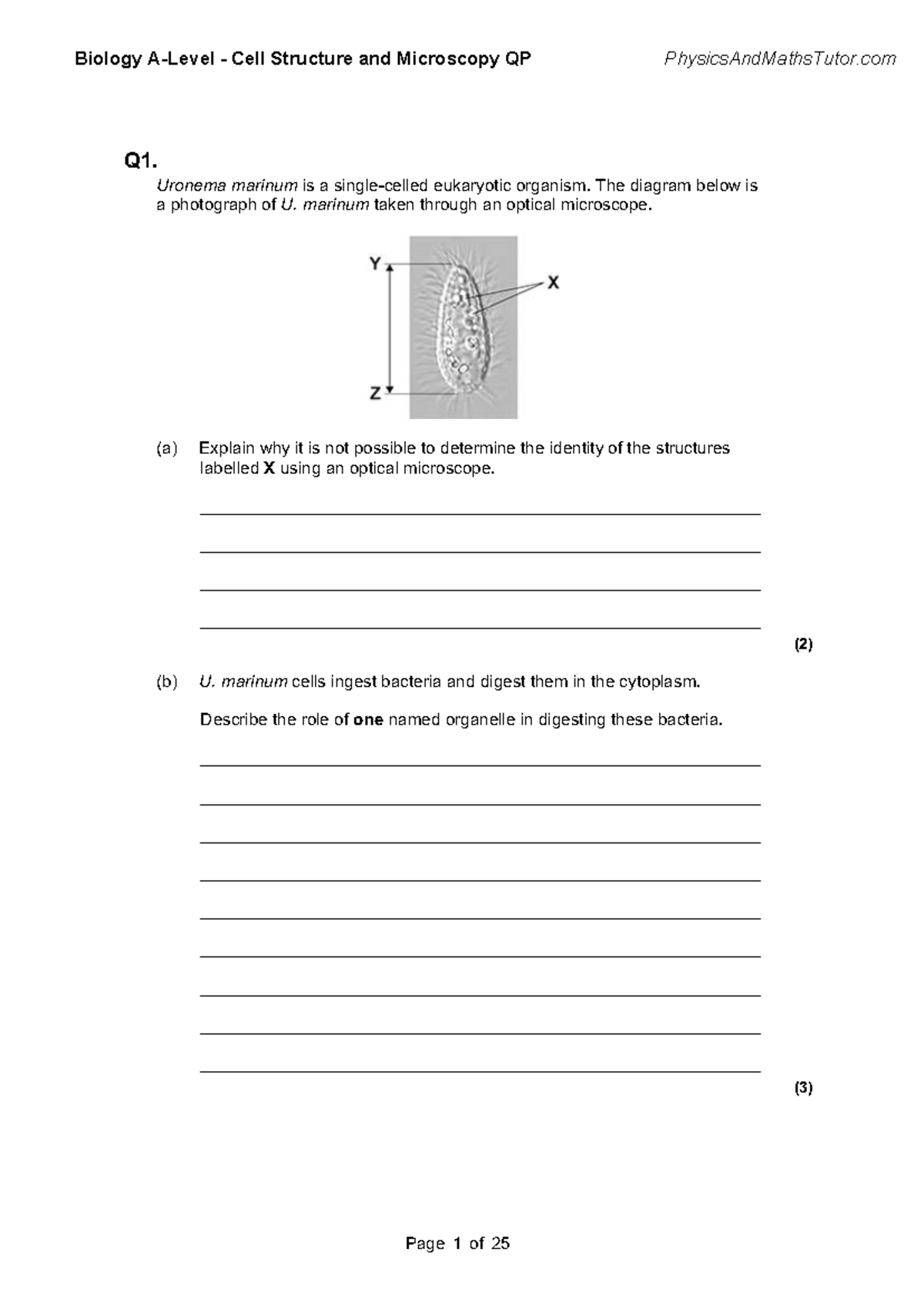 AQA Biology 2.1 Cell Structure and Microscopy QP Exam Guide - Studocu