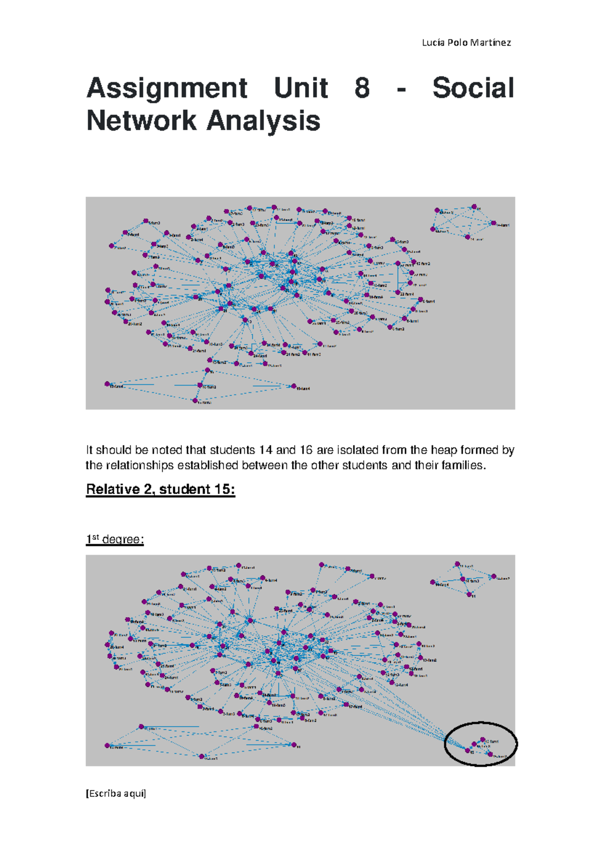 Social Network Analysis: Assignment Unit 8 Overview - Studeersnel