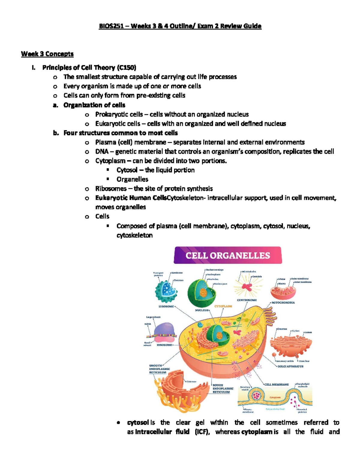 BIOS251 Exam 2 Review Guide: Weeks 3 & 4 Concepts Overview - Studocu