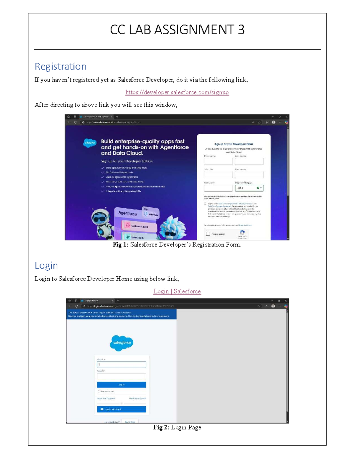 CC LAB ASSIGNMENT 3: Salesforce Developer Registration Guide - Studocu