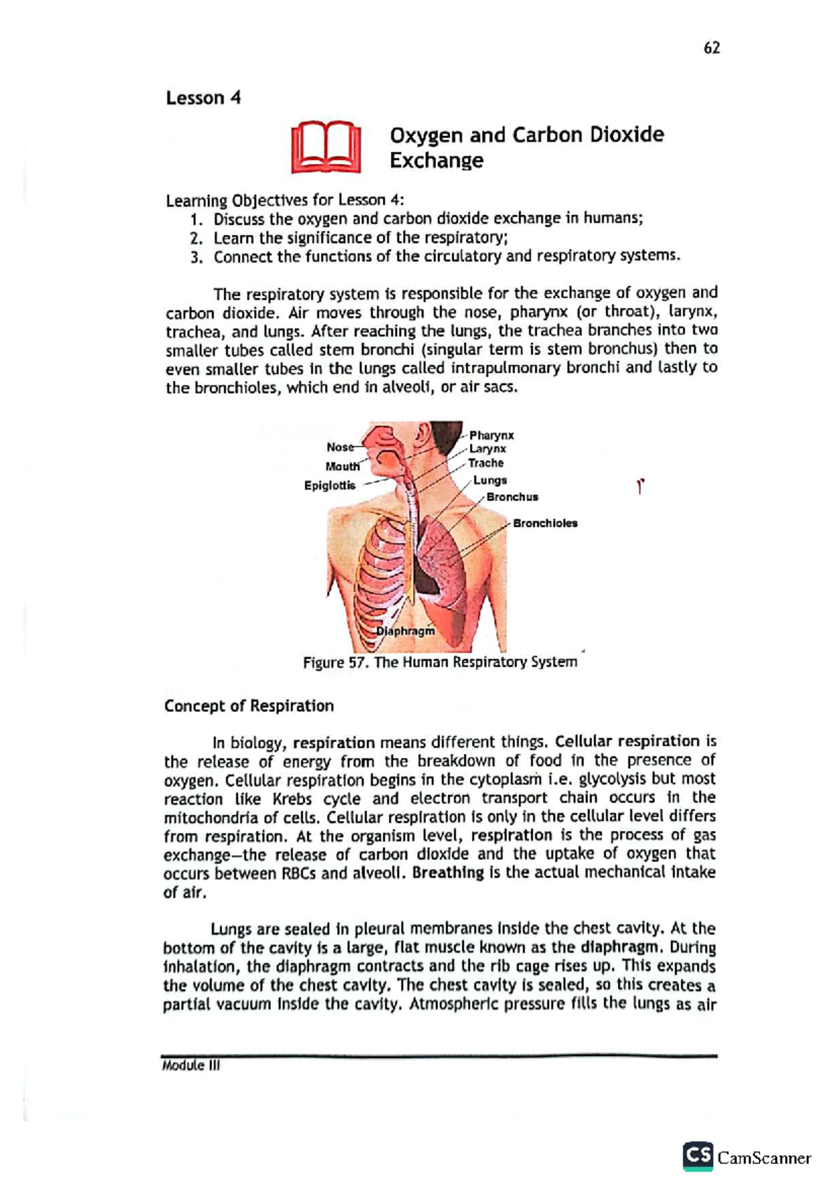 Module CS 62 Lesson 4: Oxygen and Carbon Dioxide Exchange Overview ...