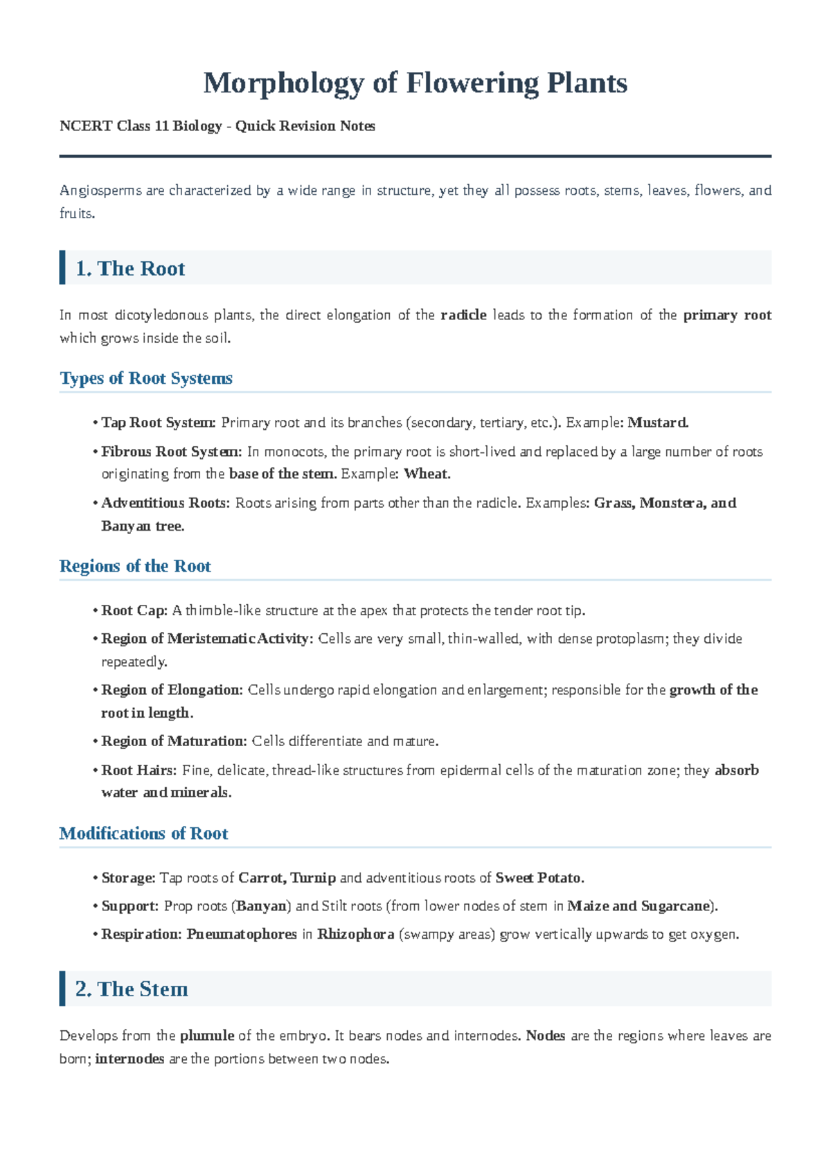 Morphology of Flowering Plants NCERT Class 11 Biology Revision Notes ...