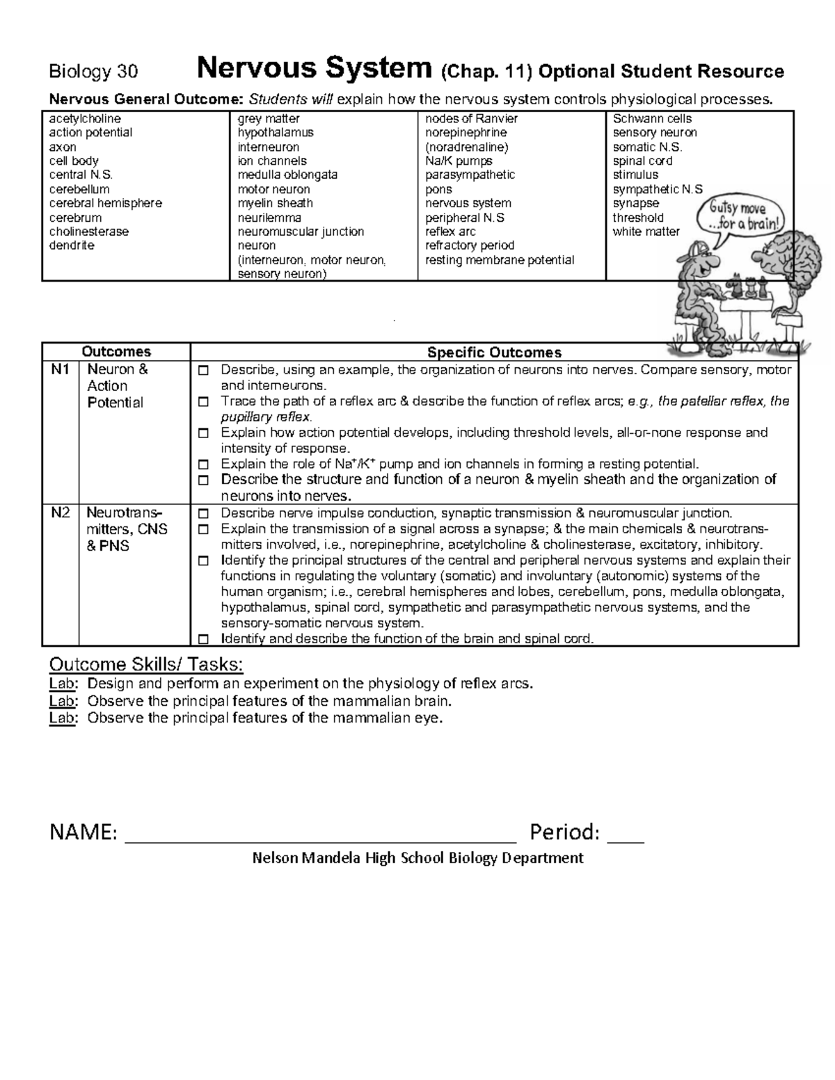 Biology 30 Nervous System Overview: Key Concepts and Functions - Studocu
