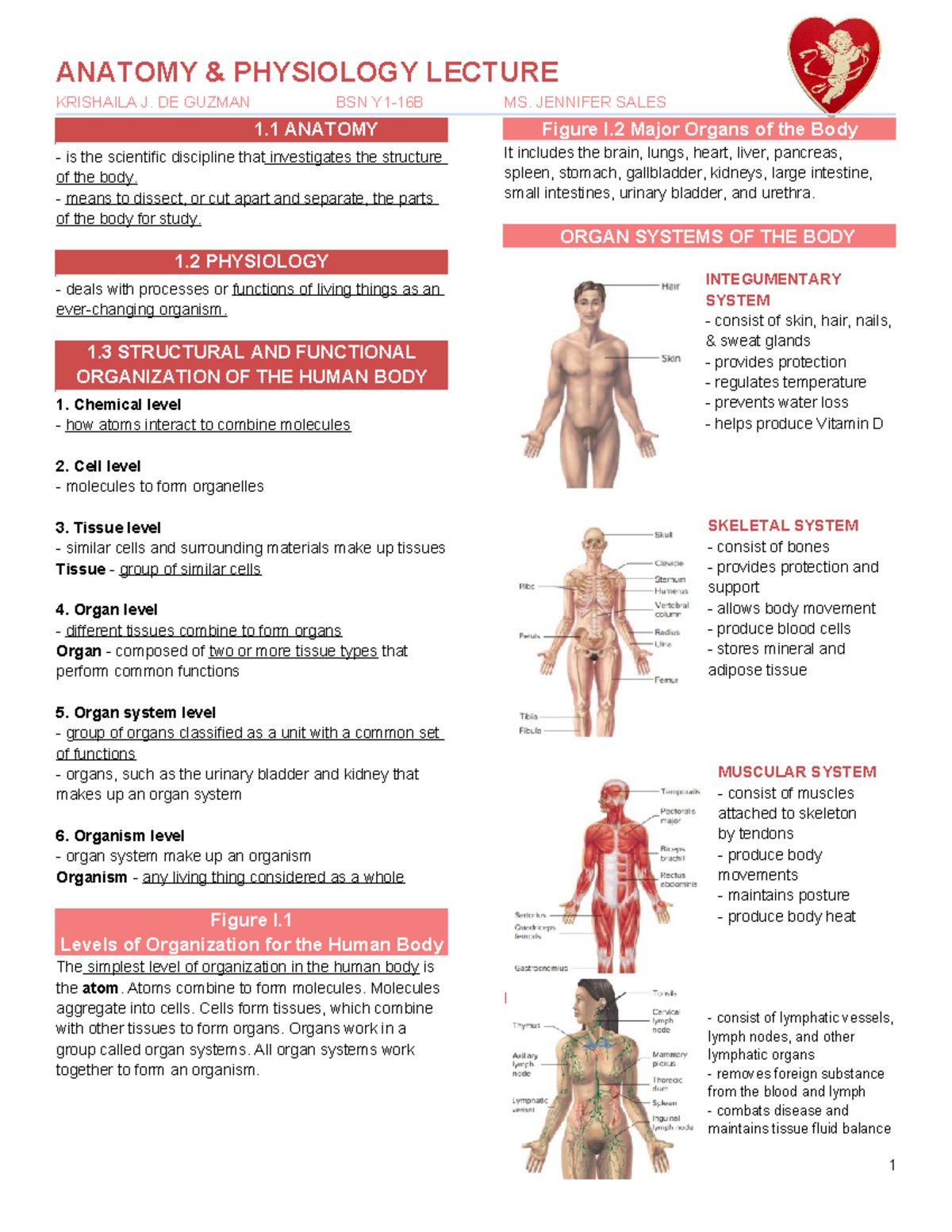 Anatomy & Physiology Lecture Notes - BSN 1.1 by Krishaila J. De Guzman ...