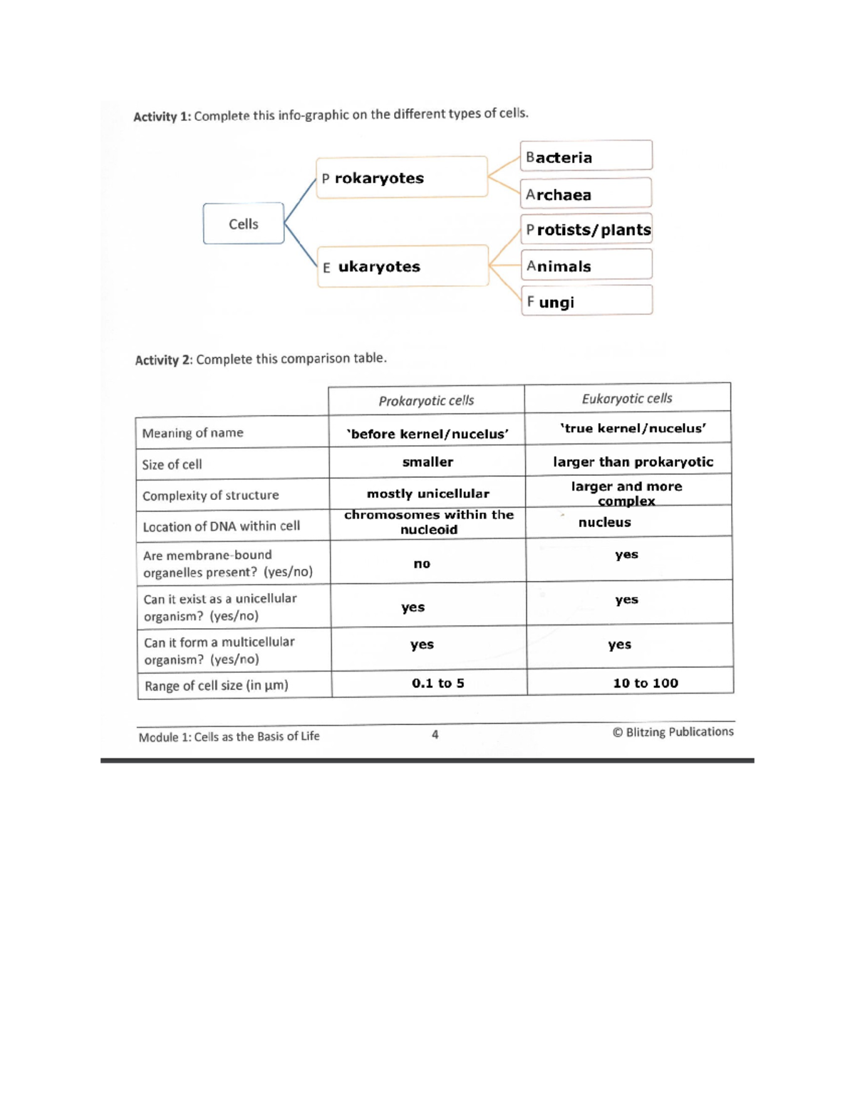 Comparative Study of Prokaryotic & Eukaryotic Cells - BIO101 Module 1 ...
