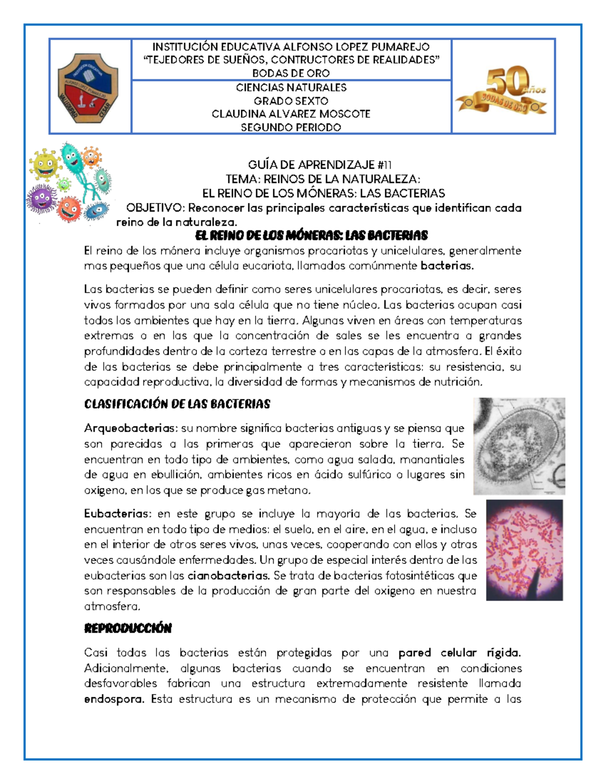 GUÍA DE APRENDIZAJE N11: Reino Monera y Características de Bacterias -  Studocu