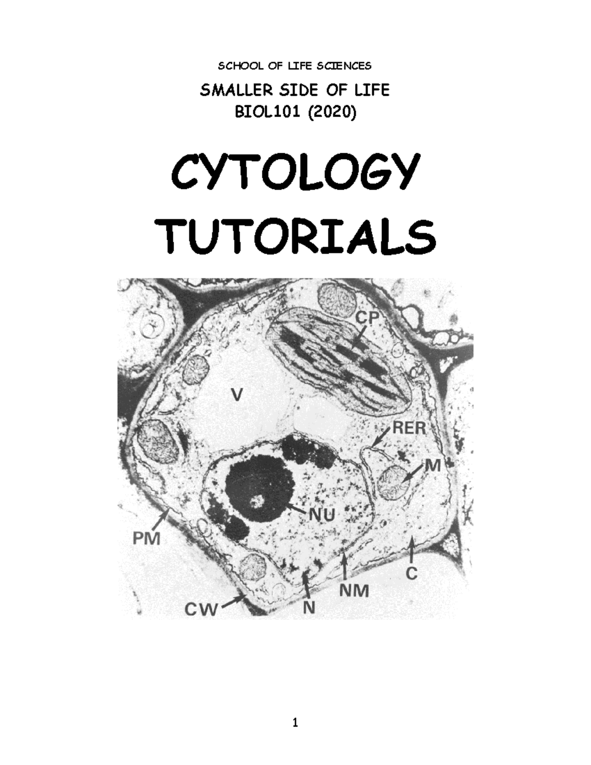 BIOL101 cytology tutorial 2020 - SCHOOL OF LIFE SCIENCES SMALLER SIDE ...