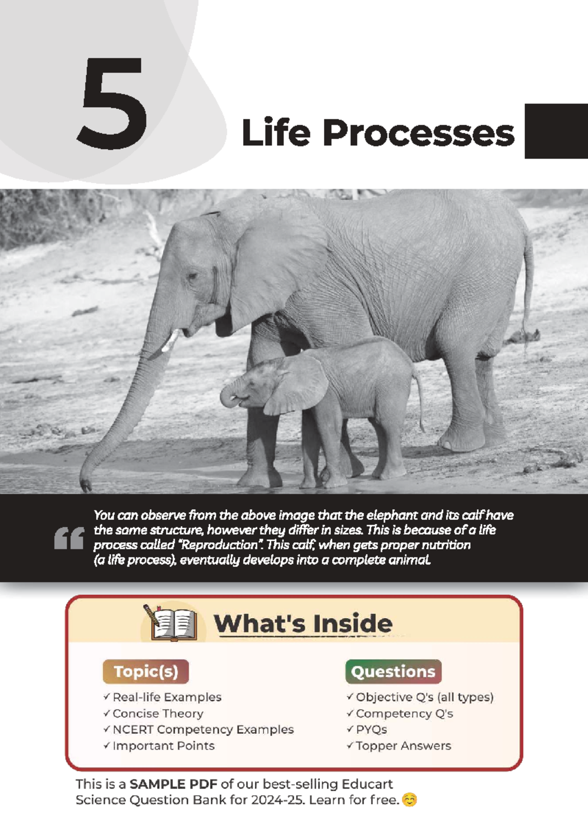 CBSE-X Science Chapter 5: Life Processes Overview and Key Concepts ...