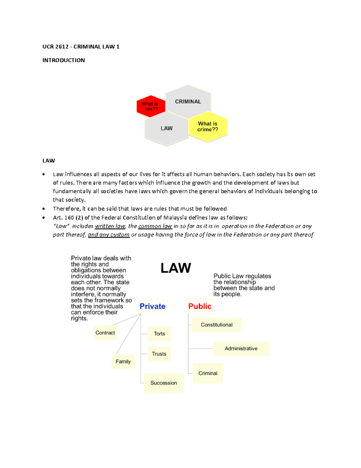 380700 Introduction to Criminal Law: Key Concepts and Principles - Studocu
