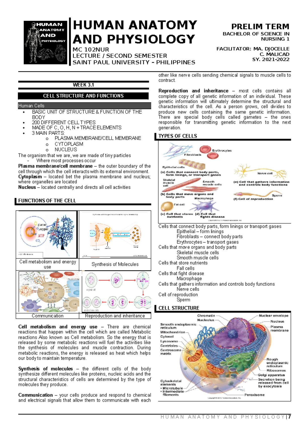 HUMAN ANATOMY & PHYSIOLOGY: CELL STRUCTURE (MC 102NUR) - WEEK 3 LECTURE ...