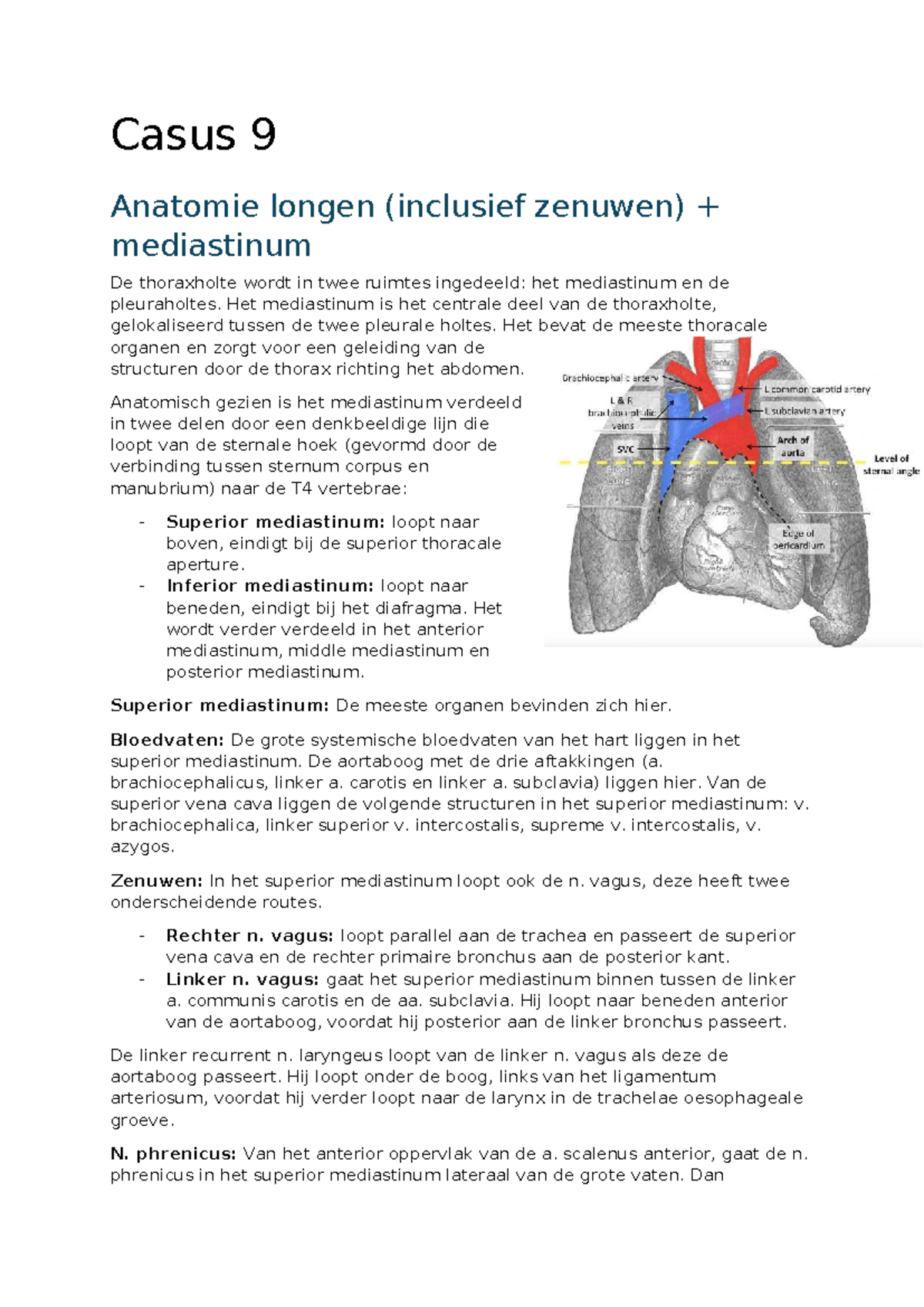 Casus 9: Anatomie van de Longen en Mediastinum in de Thoraxholte ...