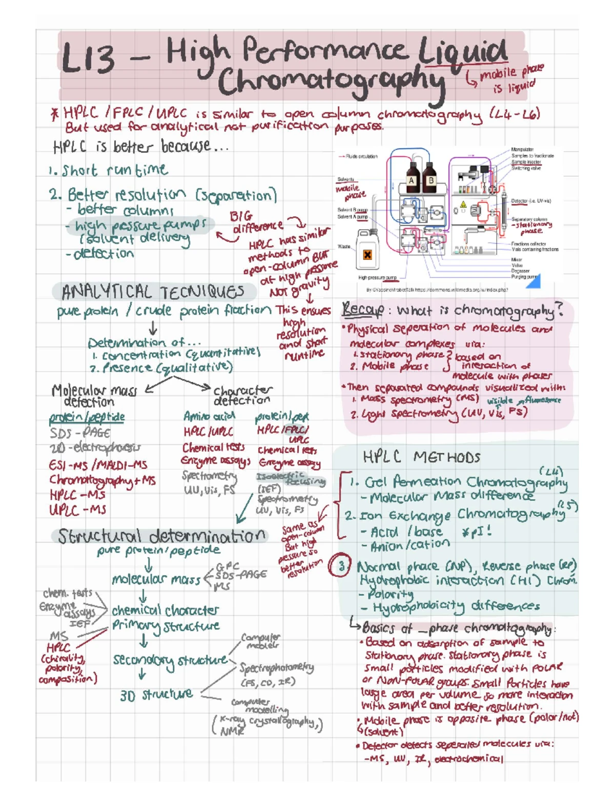 Sports Injuries Overview: Key Notes for Understanding Treatment and ...