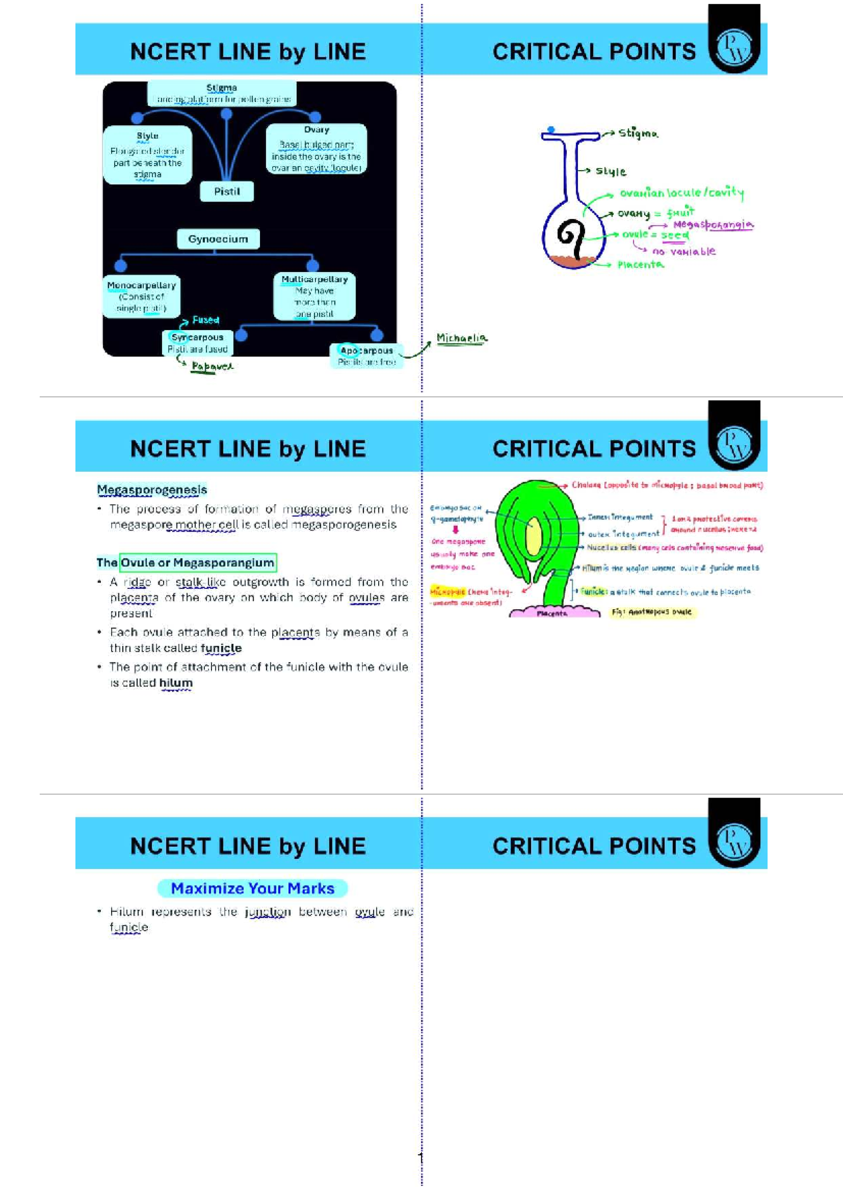NCERT LINE BY LINE CLASS NOTES ON SEXUAL REPRODUCTION IN FLOWERING ...