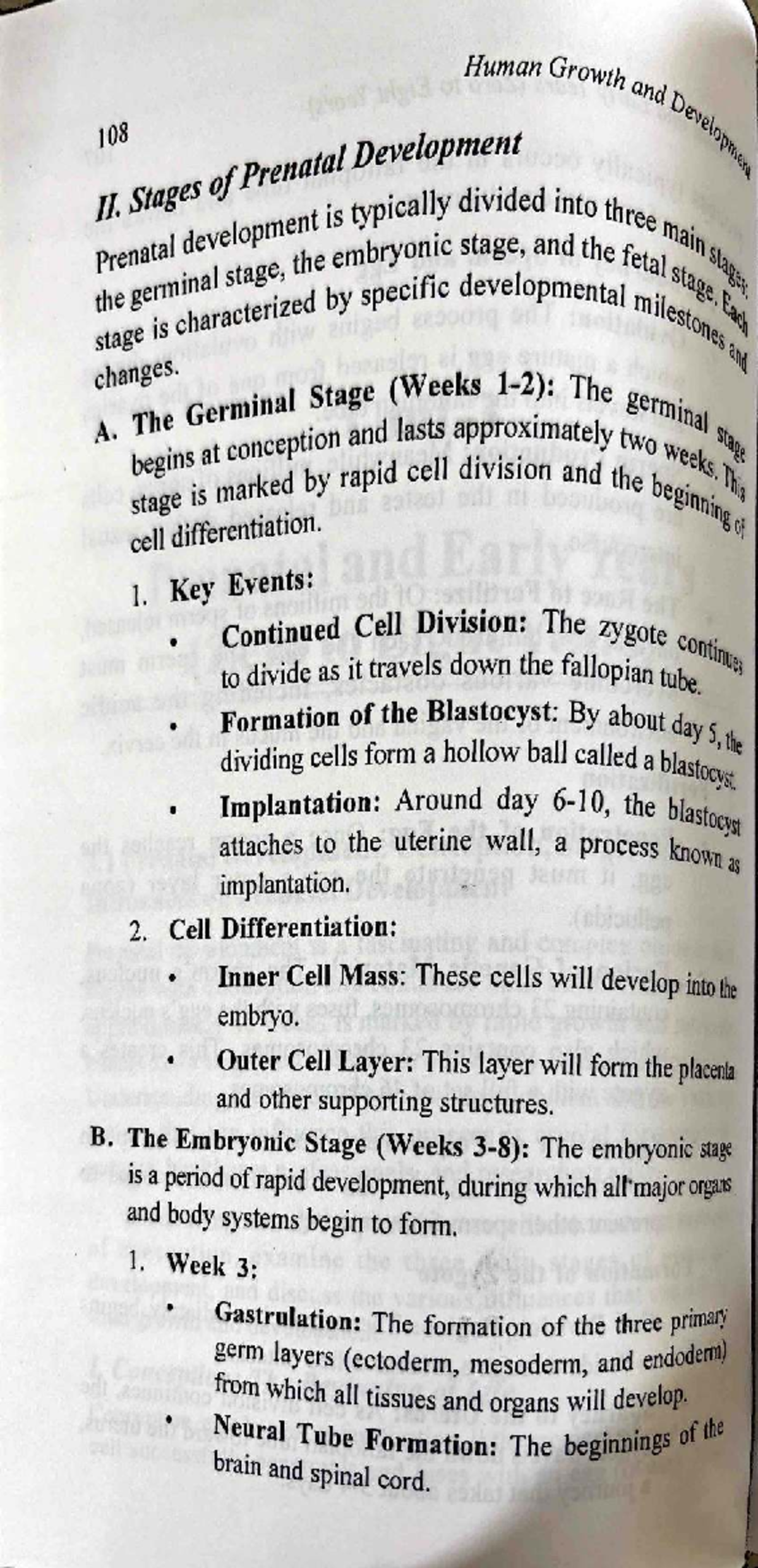 HSC 108: Prenatal Development Stages and Key Events for Exam Prep - Studocu