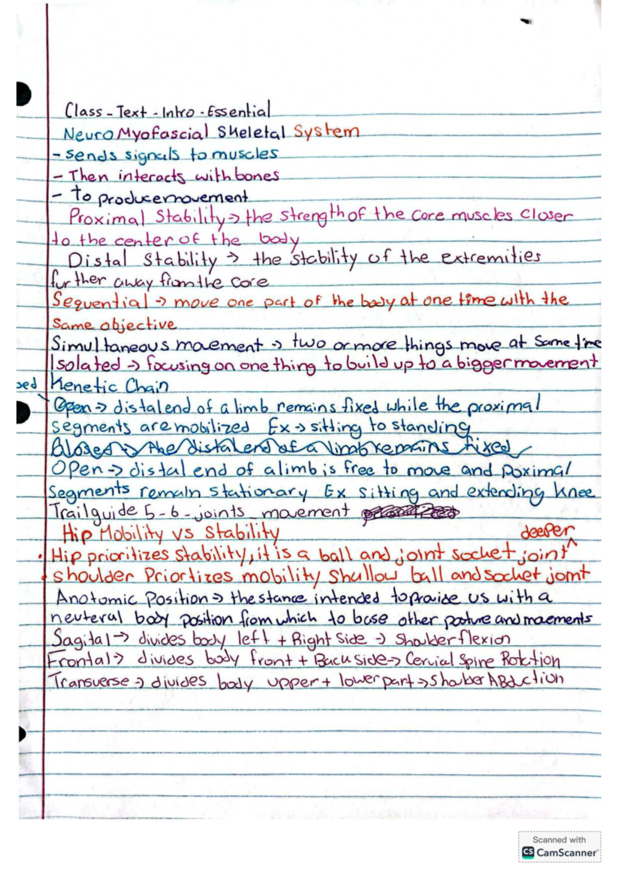 Final Exam Review Notes for Course Code 101: Key Topics and Tips ...